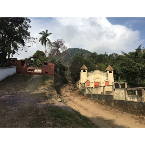 Dutch Barista Coffee Fernando's natural Gesha