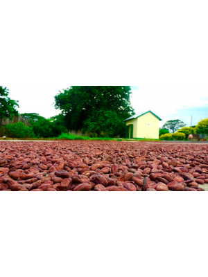 PremiumBlack Madagascar - Sambirano Tsarafandray 77%