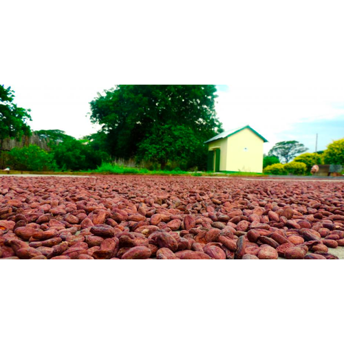 PremiumBlack Madagascar - Sambirano Tsarafandray 77% PremiumBlack Madagascar - Sambirano Tsarafandray 77%