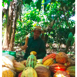 PremiumBlack Honduras - San Antonio 76%