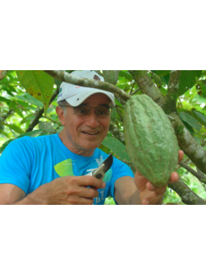 PremiumBlack Ecuador- Finca Garyth 70%