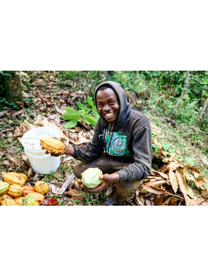 PremiumBlack Dominican Republic - Zorzal 80%