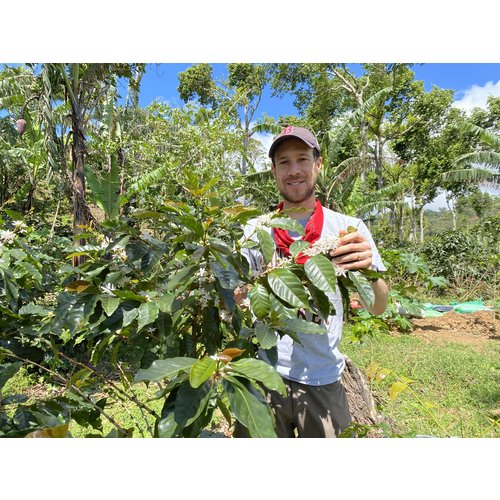 Dutch Barista Coffee Nicaragua - Benjamin's natural Dutch Barista Coffee Nicaragua - Benjamin's natural