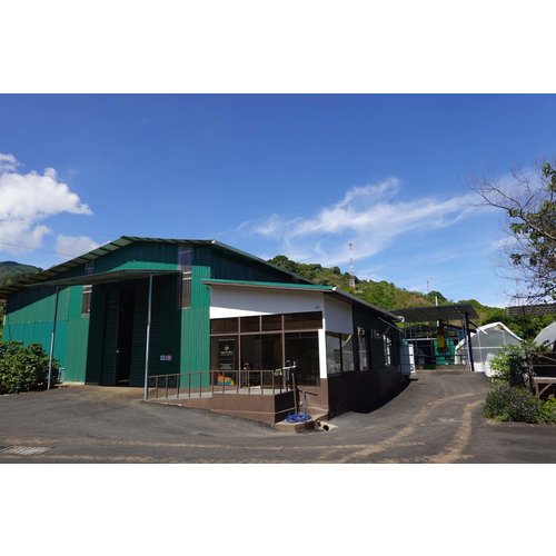 Dutch Barista Coffee Costa Rica - Finca Alto Canet Dutch Barista Coffee Costa Rica - Finca Alto Canet