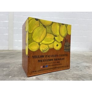 Dutch Barista Coffee Nicaragua - Ben's exclusive Yellow Pacamara