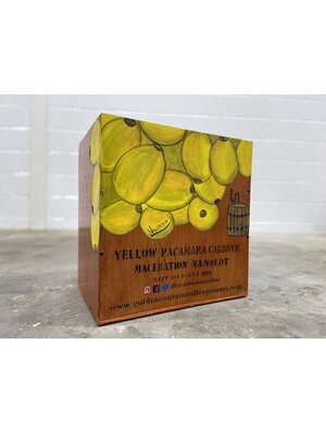 Dutch Barista Coffee Nicaragua - Finca Idealista Nanolot