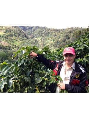 Dutch Barista Coffee Nicaragua - El Mirador