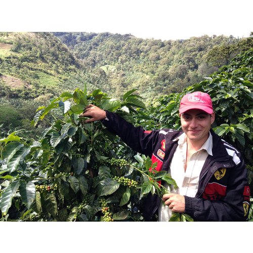 Dutch Barista Coffee Nicaragua - El Mirador Dutch Barista Coffee Nicaragua - El Mirador