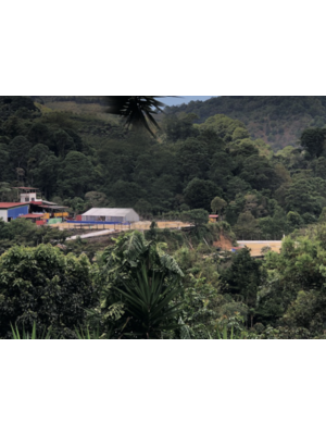 Dutch Barista Coffee Guatemala -Santa Ana Anaerobic