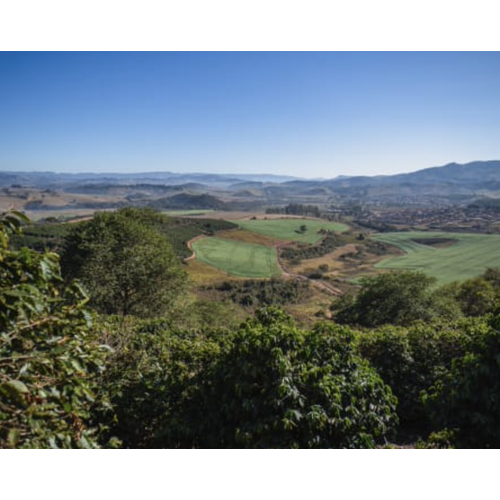Dutch Barista Coffee Brazil - Fazenda Santa Ines Dutch Barista Coffee Brazil - Fazenda Santa Ines