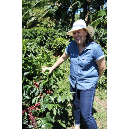 Dutch Barista Coffee Costa Rica - Finca La Julia Dutch Barista Coffee Costa Rica - Finca La Julia
