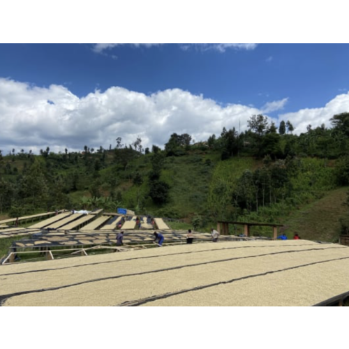 Rwanda - Gwiza Rwanda - Gwiza