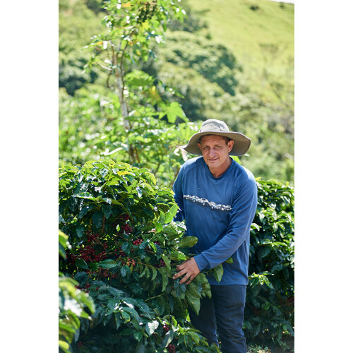 Dutch Barista Coffee Costa Rica - Finca Tacacal Dutch Barista Coffee Costa Rica - Finca Tacacal