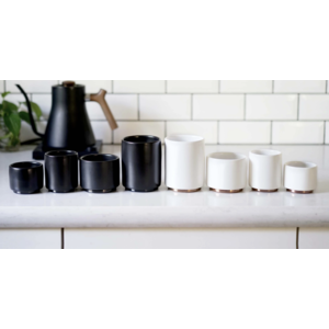 fellow Fellow Monty cup 2 pc