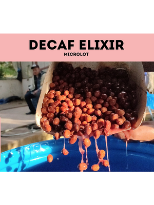 Dutch Barista Coffee Nicaragua - Decaf Elixir
