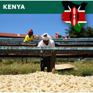Dutch Barista Coffee Kenya - Kiambara