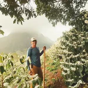 Dutch Barista Coffee Brazil - Jesus Euzébio Lopes