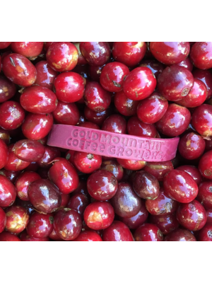 Dutch Barista Coffee Nicaragua - El Taiwan