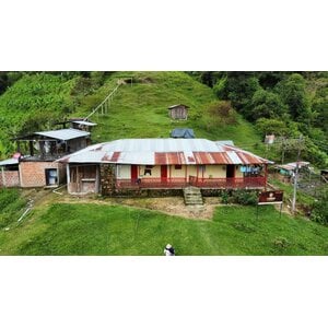 Dutch Barista Coffee Colombia - Yiver Vargas