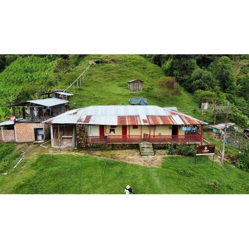 Dutch Barista Coffee Colombia - Yiver Vargas