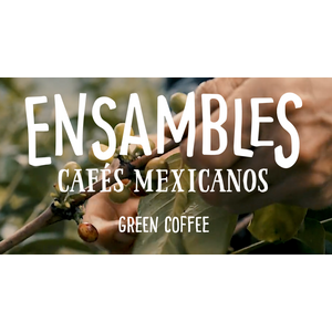 Dutch Barista Coffee Mexico - Quetzal mountain water decaf