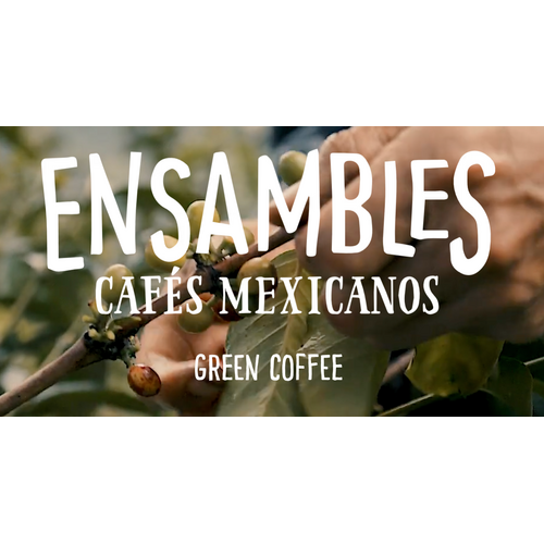 Dutch Barista Coffee Mexico - Quetzal mountain water decaf