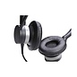 Jabra Jabra Biz 2300 Duo (Balanced)