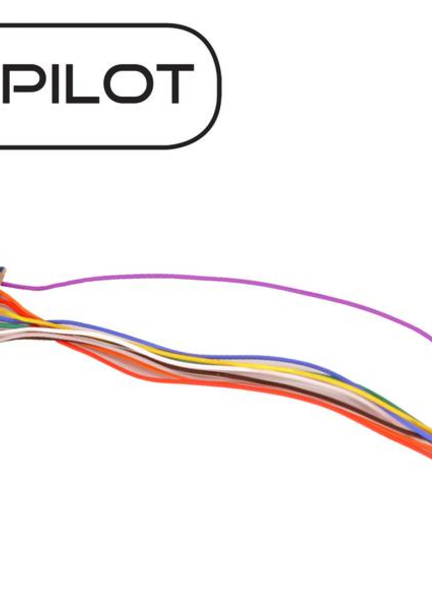 ESU ESU Lokpilot V5 DCC