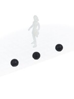 N-Train 24 ball posts (212.71)