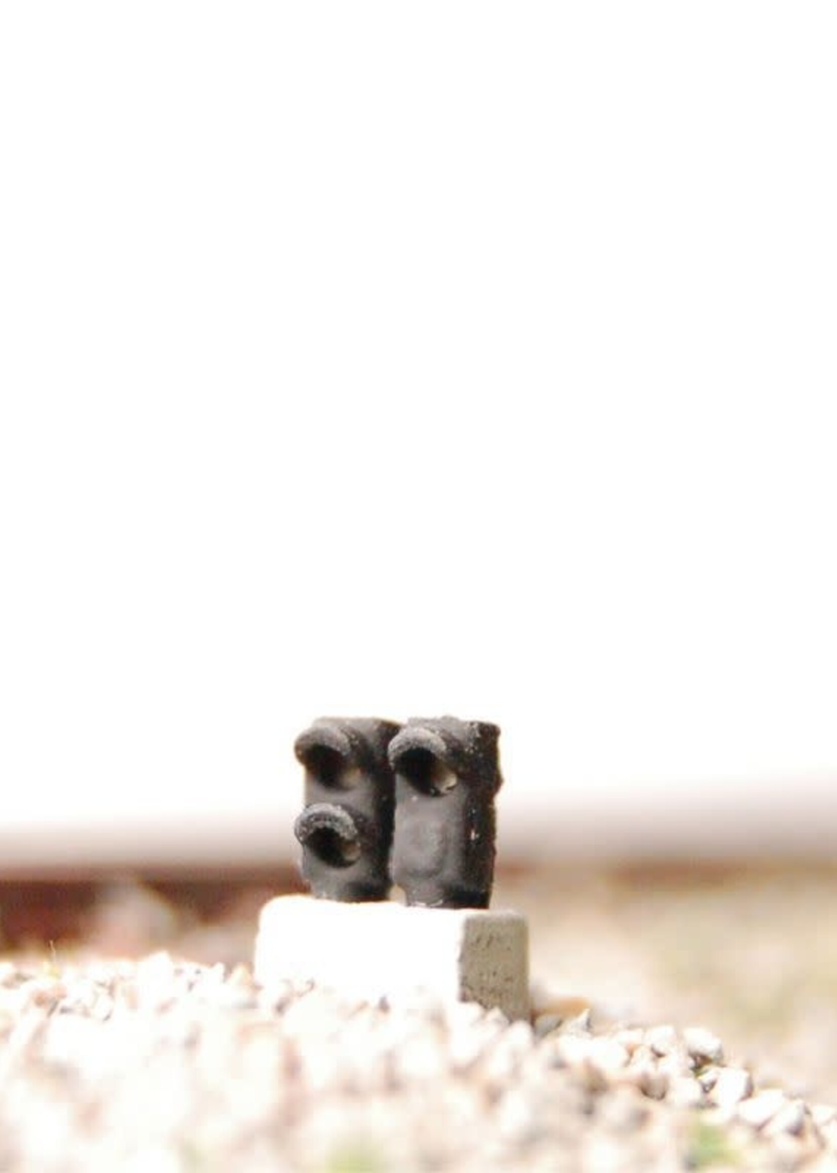 MAFEN MAFEN 414105 N RENFE - Dwergsein met 3 LED's (Groen/Geel+Rood)