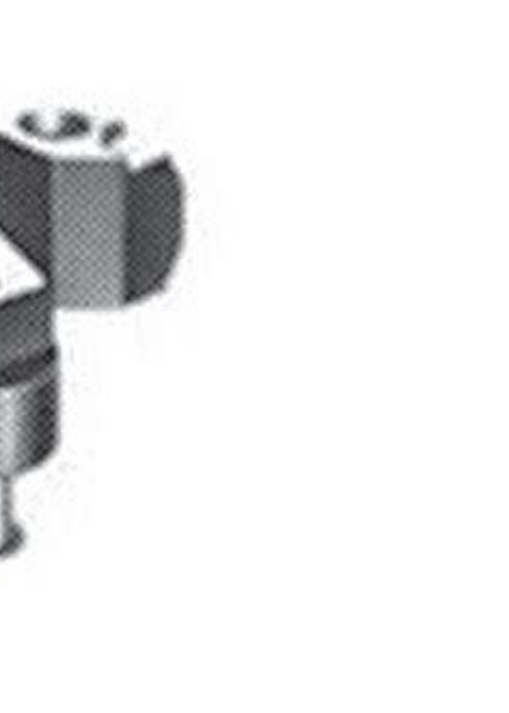 FLEISCHMANN Fleischmann 9543 - PROFI-koppeling