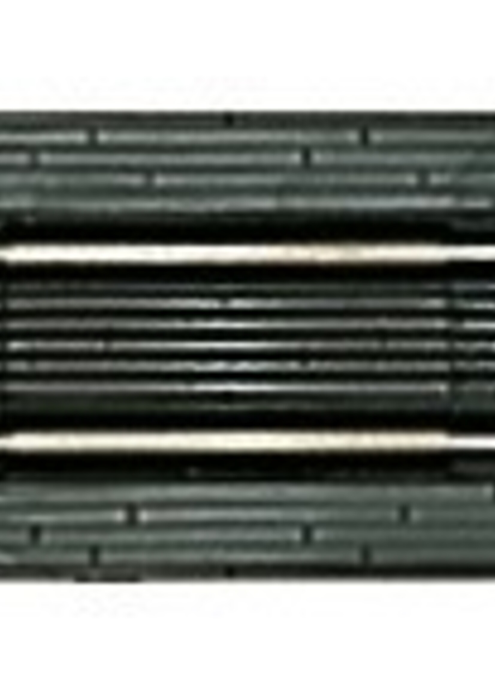 FLEISCHMANN Fleischmann 22210 Hersporingsrail lengte 104,2 mm (N zb)