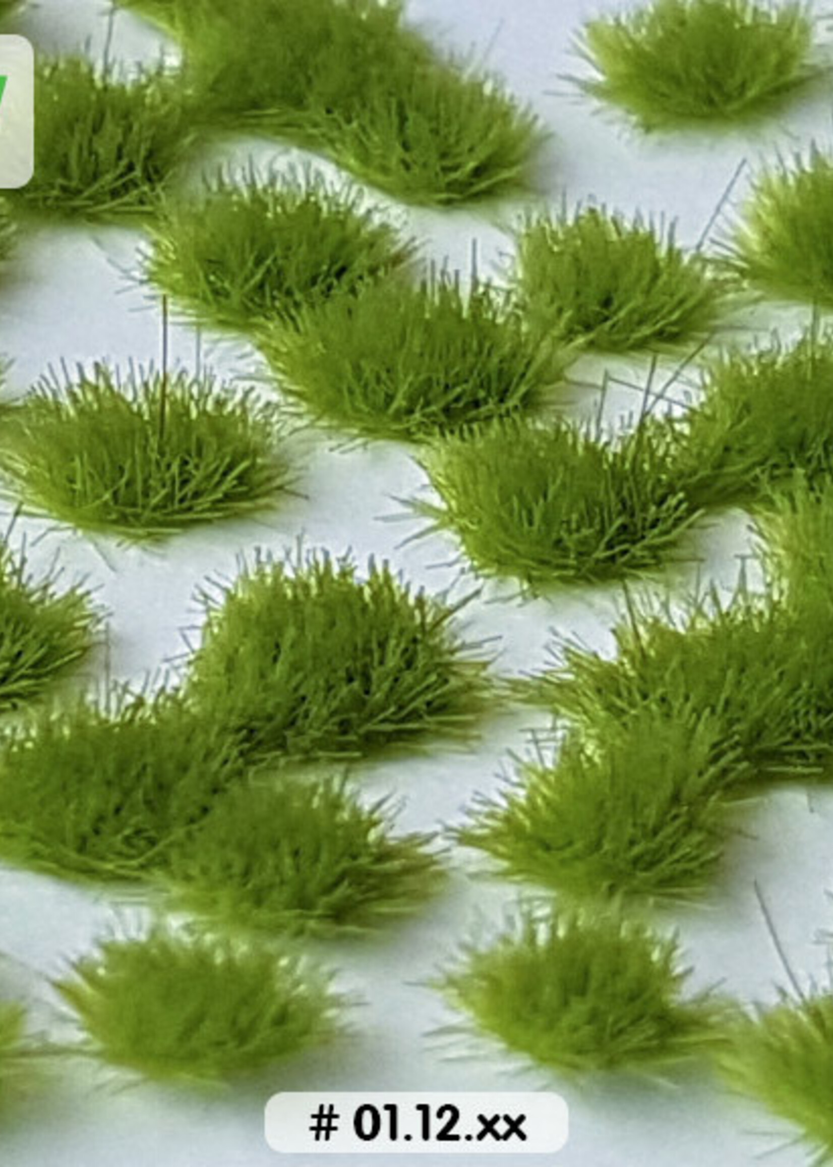 Lars op 't Hof Scenery 01.12 Graspollen vroege lente - kort 15 x 21 cm