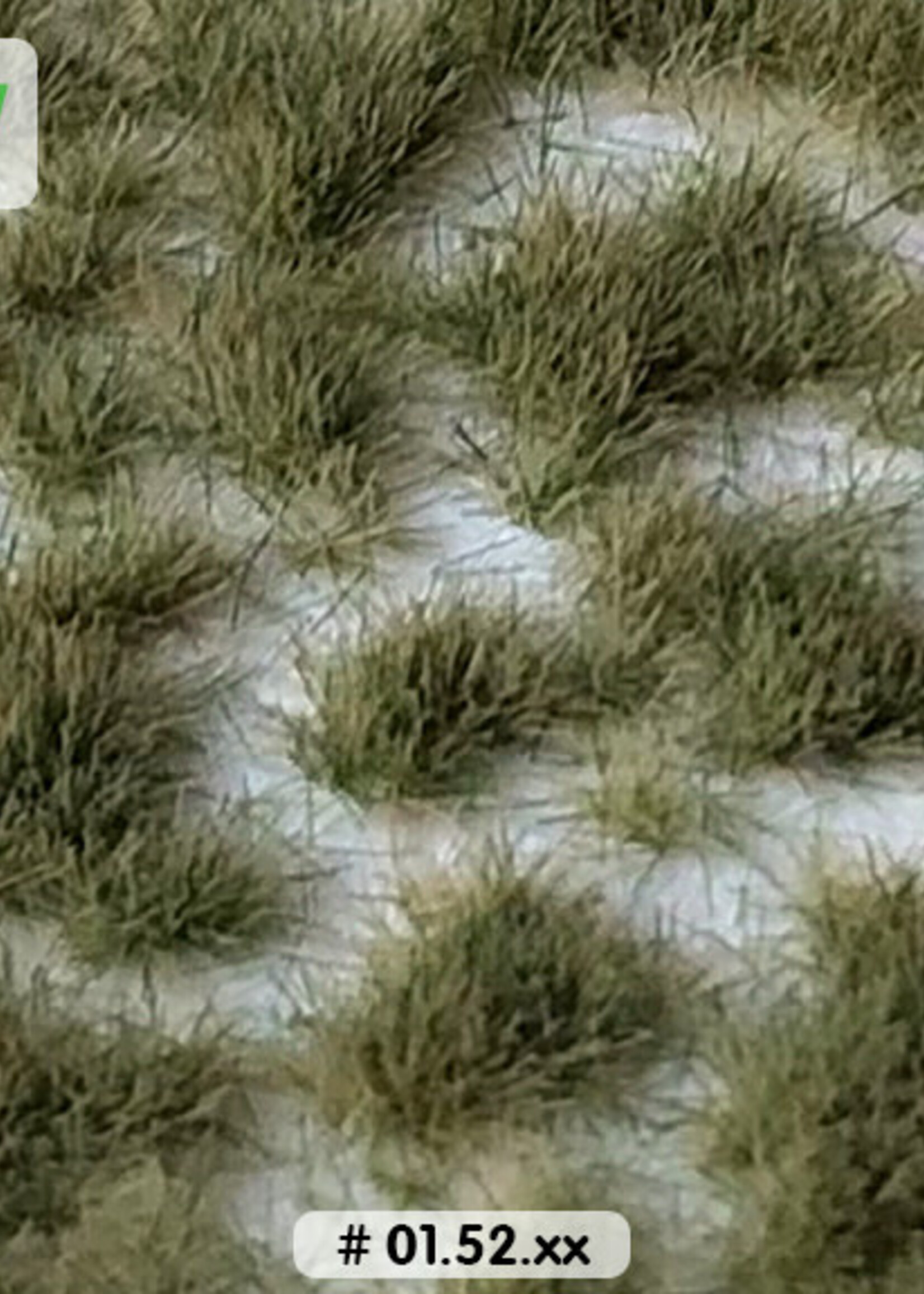 Lars op 't Hof Scenery 01.52 Graspollen vroege herfst - kort 15 x 21 cm