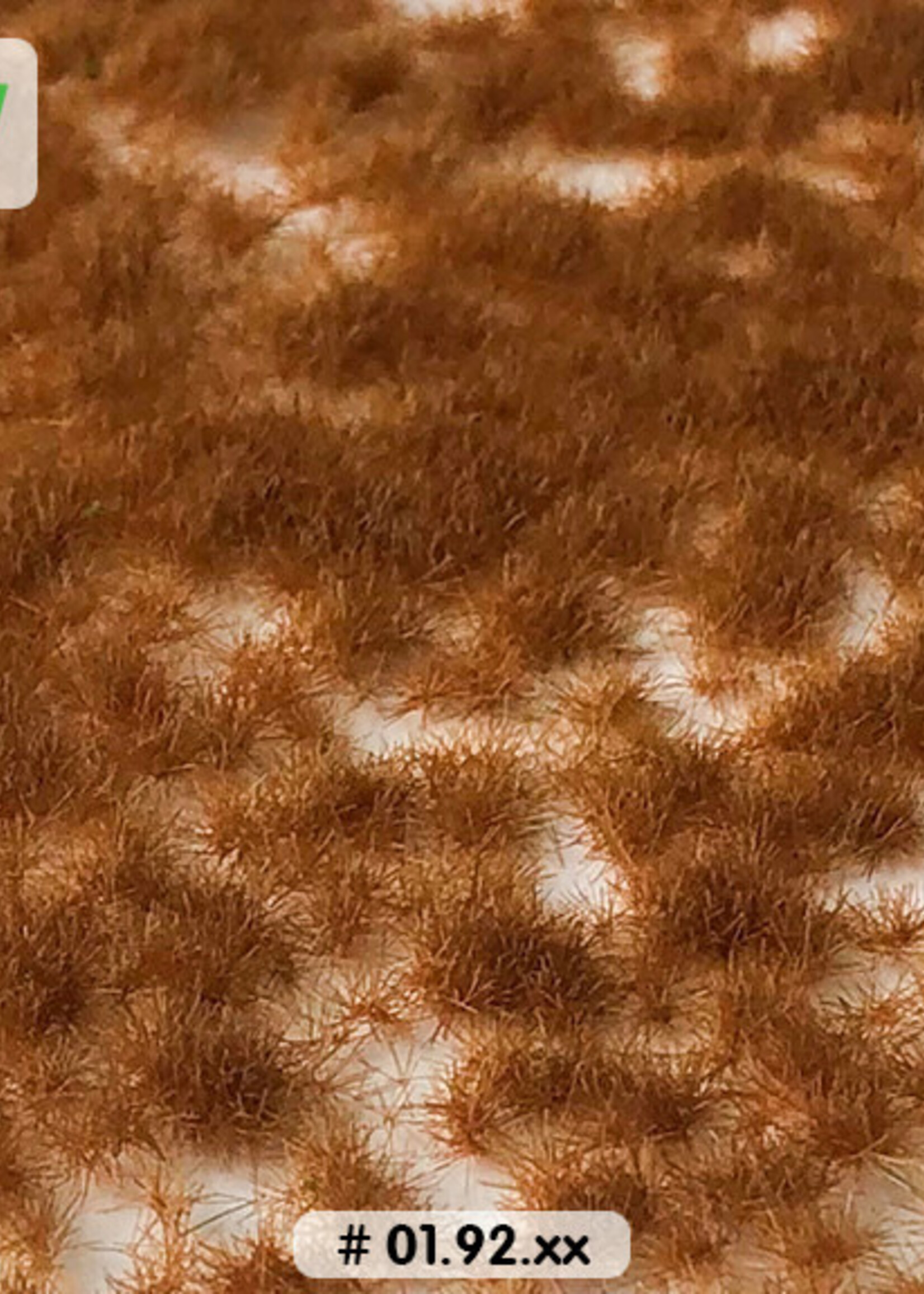 Lars op 't Hof Scenery 01.92 Graspollen late winter - kort 15 x 21 cm