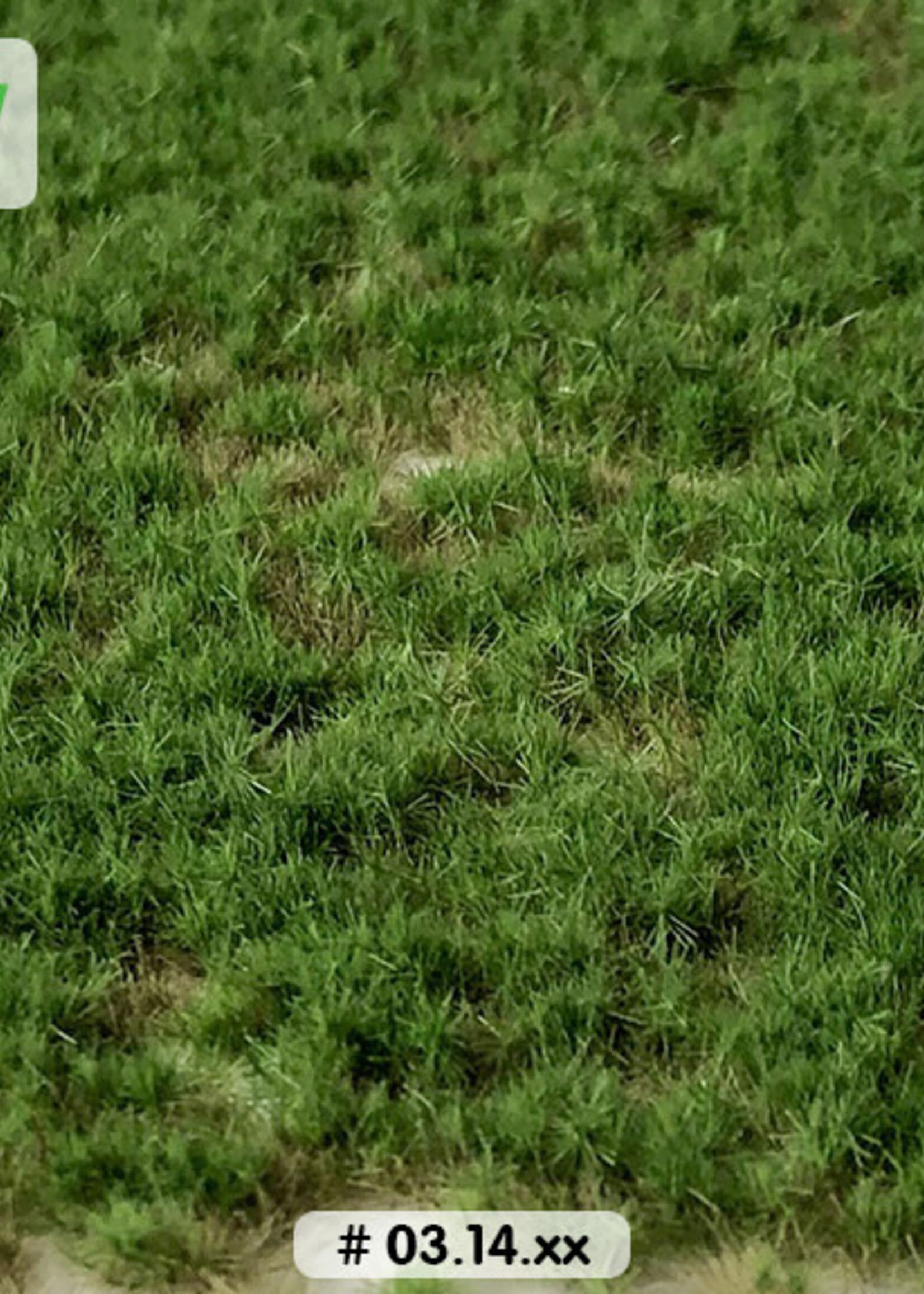 Lars op 't Hof Scenery 03.14 Graspollen weiland lente - kort 15 x 21 cm