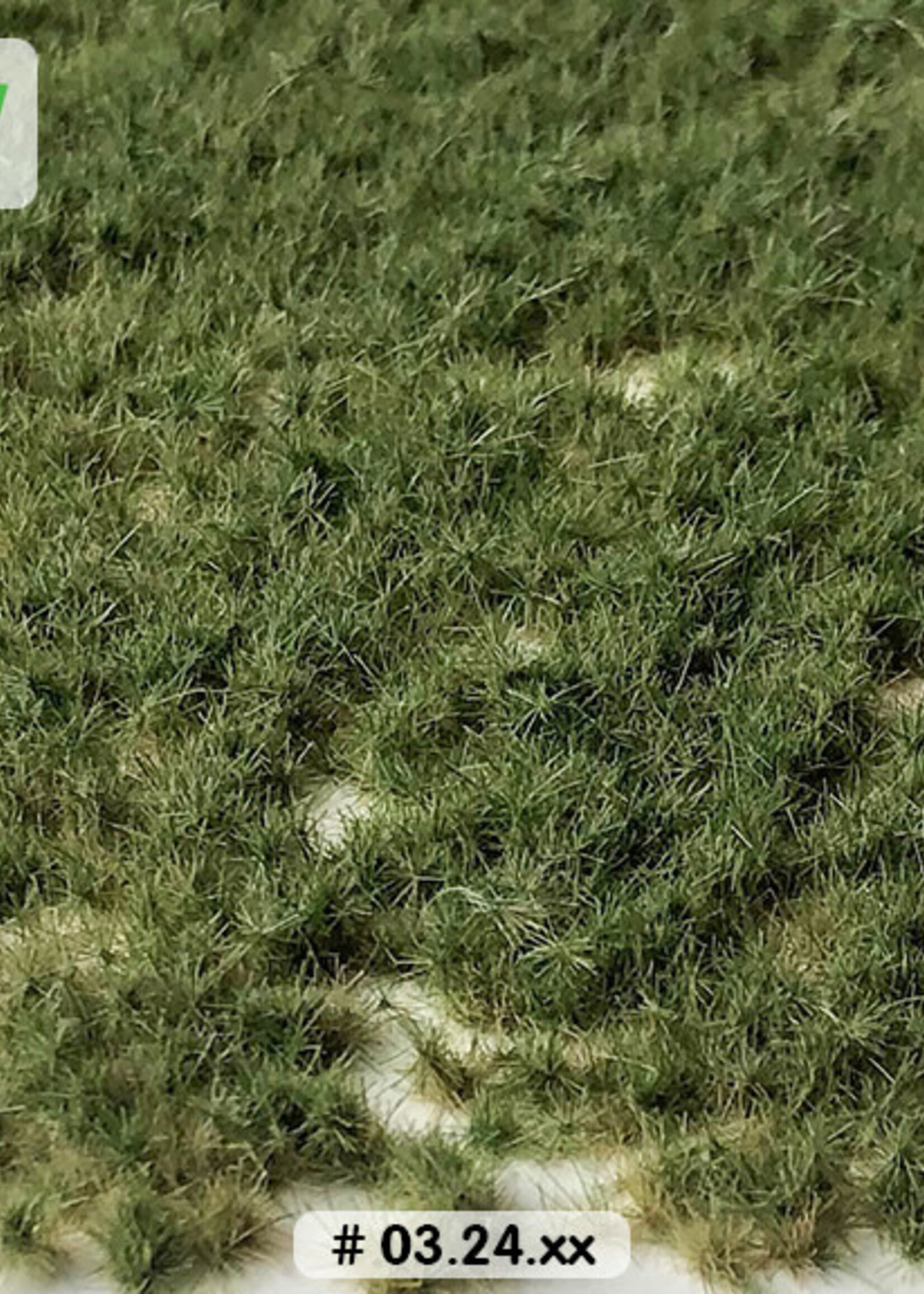 Lars op 't Hof Scenery 03.24 Graspollen weiland zomer - kort 15 x 21 cm