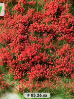 Lars op 't Hof Scenery 05.26 Bloemen rood 15 x 21 cm