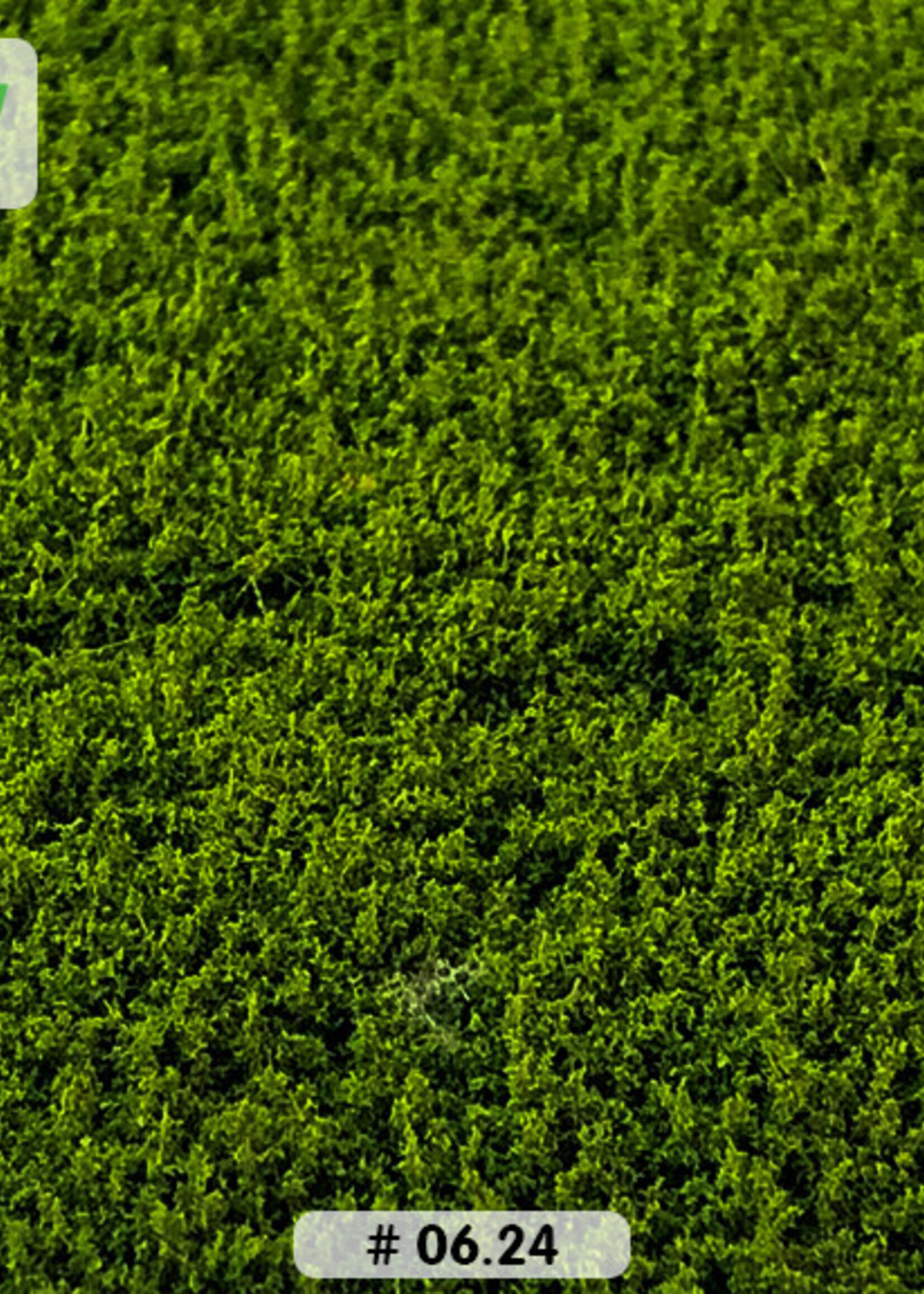 Lars op 't Hof Scenery 06.24 Onruid middengroen - laag 15 x 21 cm