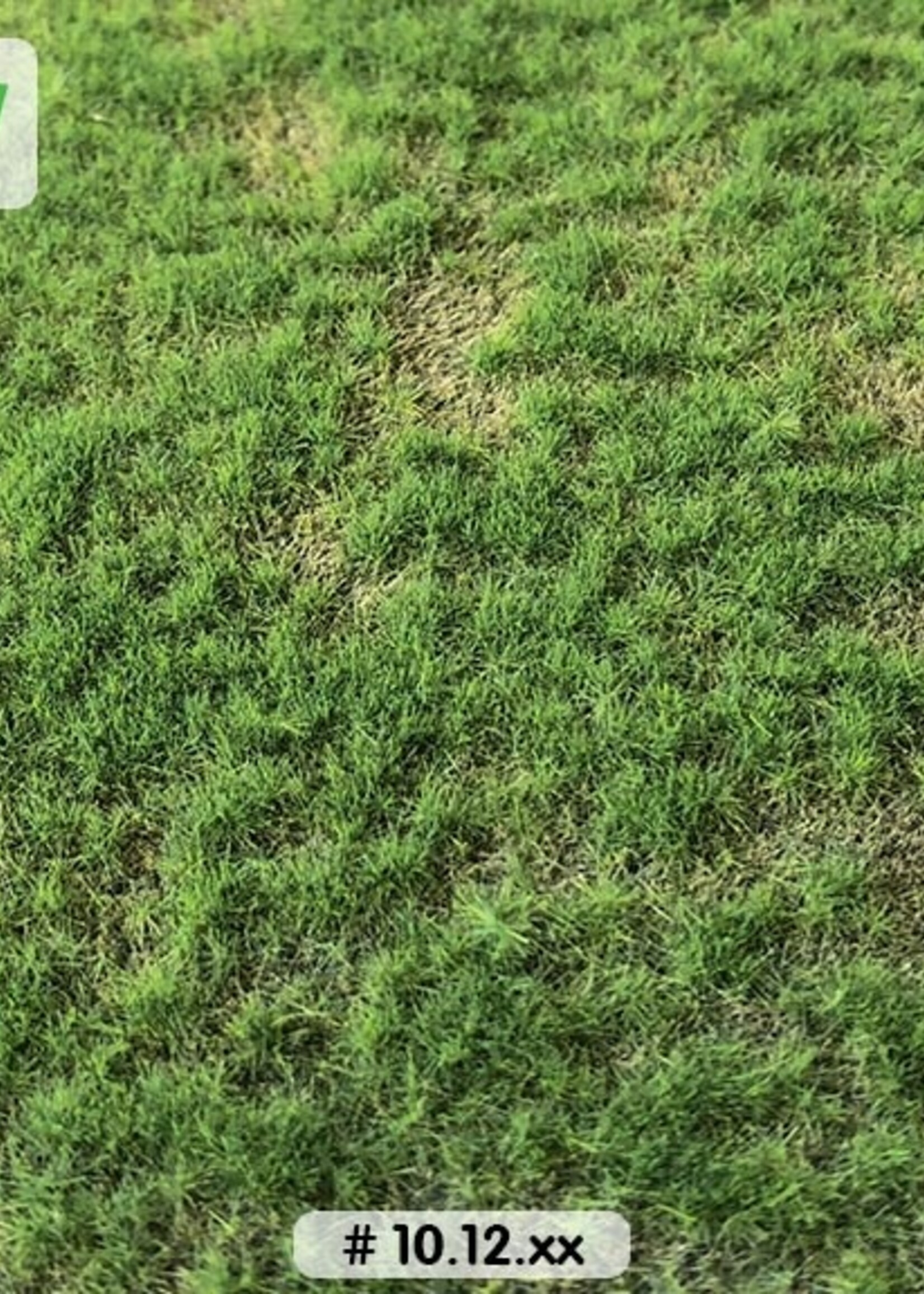 Lars op 't Hof Scenery 10.12 M Weiland lente - kort 29 x 38 cm