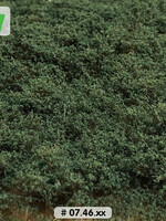 Lars op 't Hof Scenery 07.46 Struiken fletsgroen - laag 15 x 21 cm