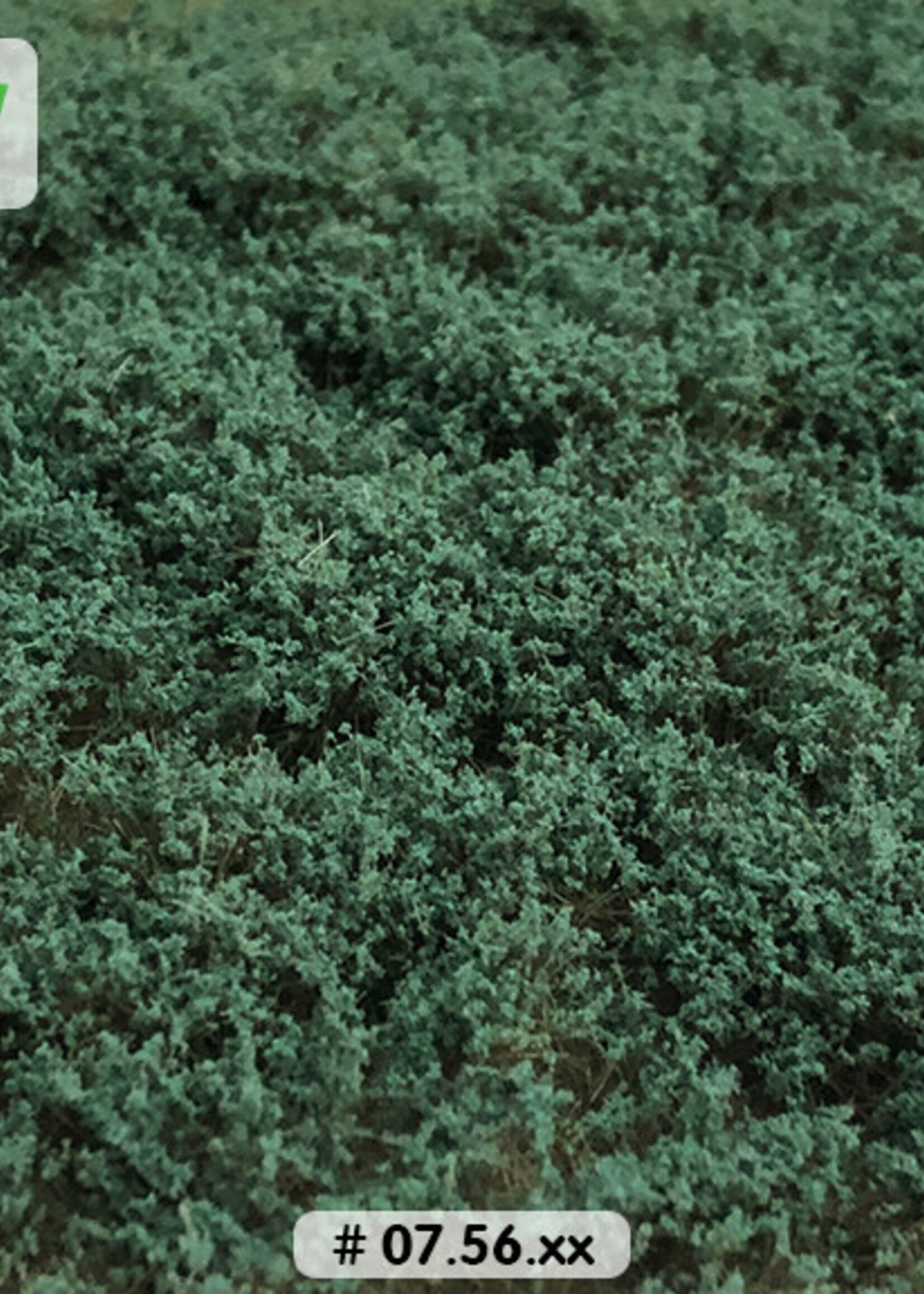 Lars op 't Hof Scenery 07.56 Struiken saliegroen - laag 15 x 21 cm