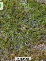 Lars op 't Hof Scenery 15.14 M Bosbodem - type 1 29 x 38 cm