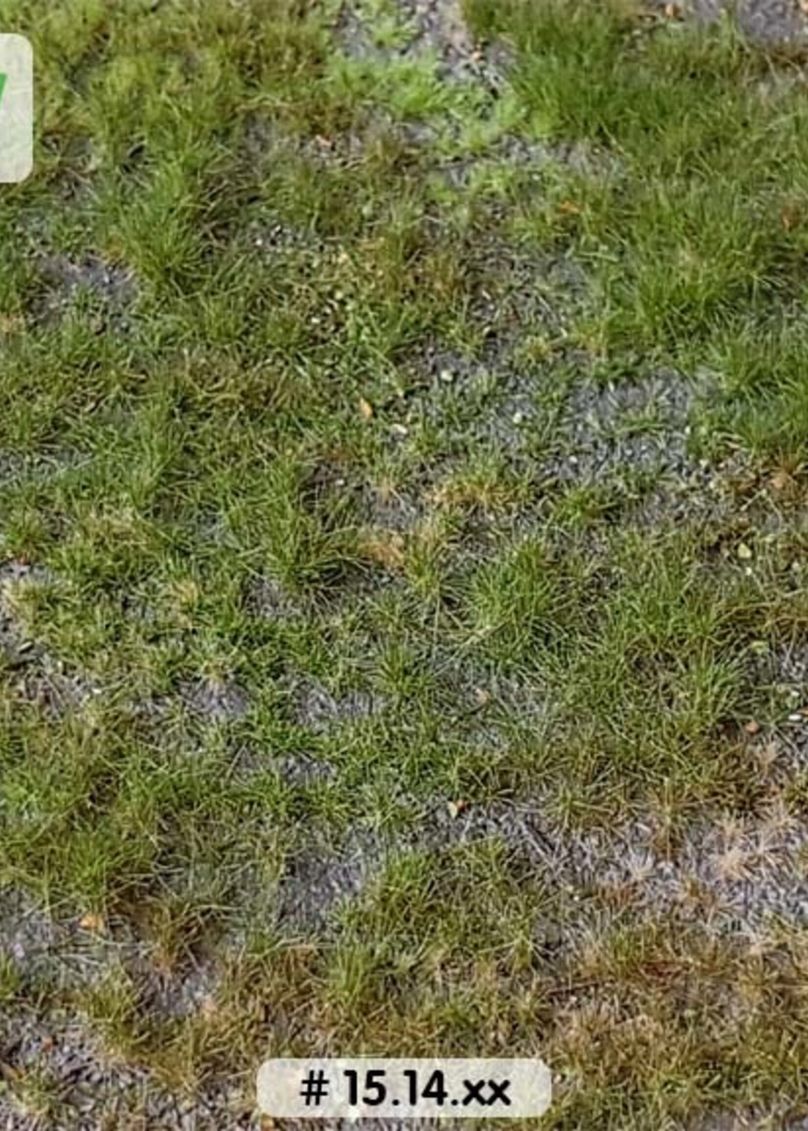 Lars op 't Hof Scenery 15.14 L Bosbodem - type 1 38 x 58 cm