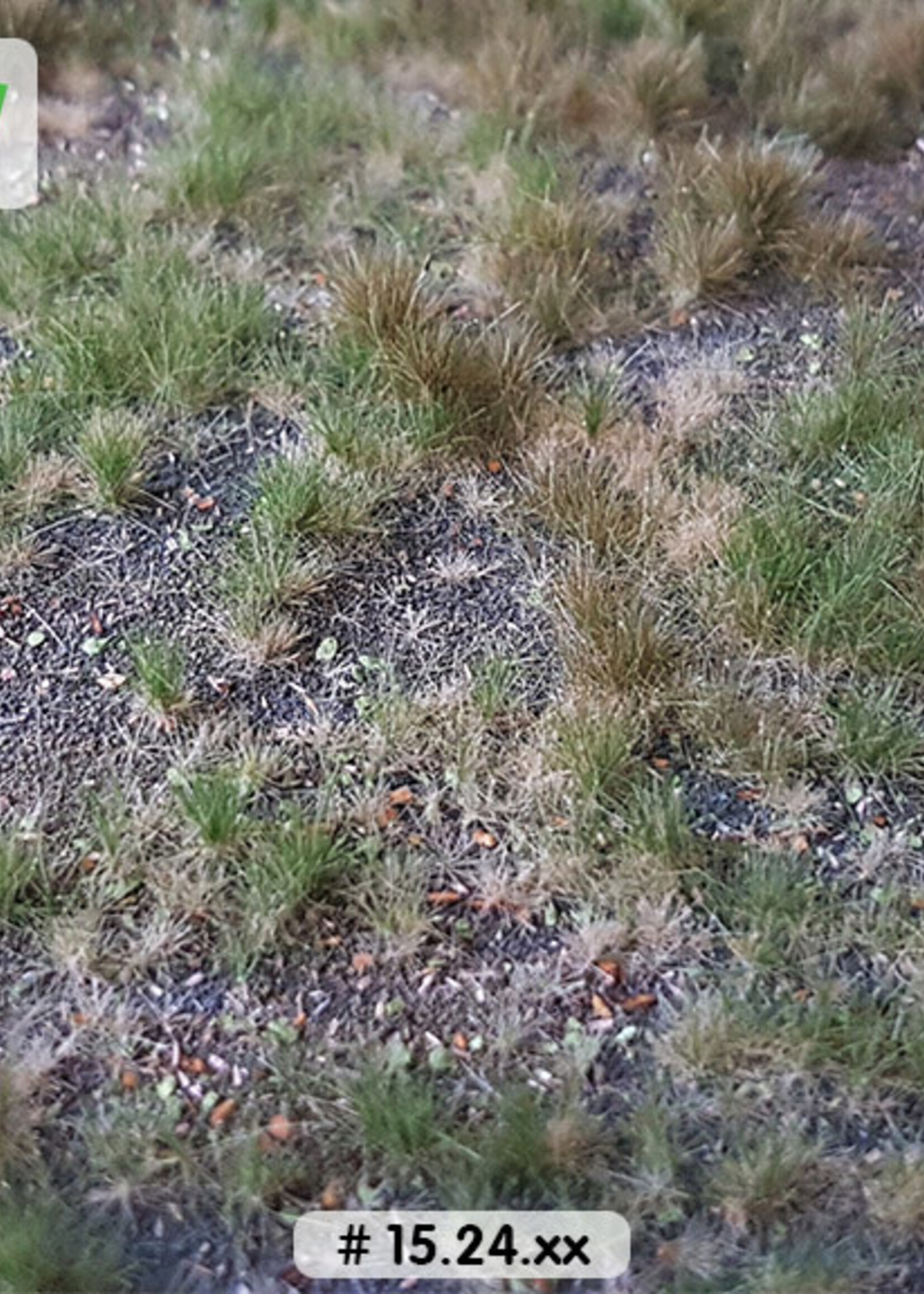 Lars op 't Hof Scenery 15.24 L Bosbodem - type 2 38 x 58 cm