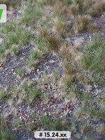 Lars op 't Hof Scenery 15.24 M Bosbodem - type 2 29 x 38 cm