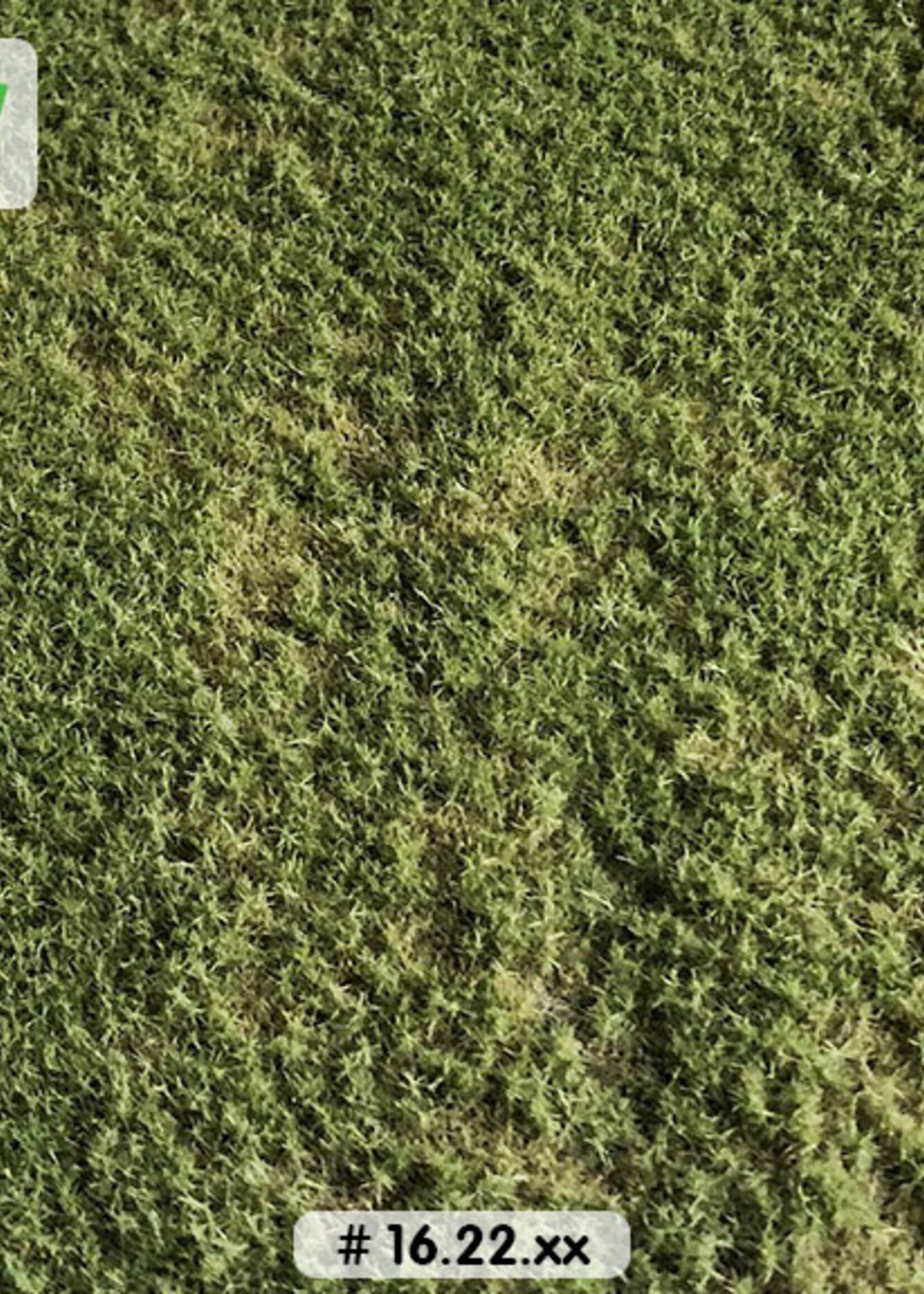 Lars op 't Hof Scenery 16.22 M Spoordijk zomer - kort 29 x 38 cm