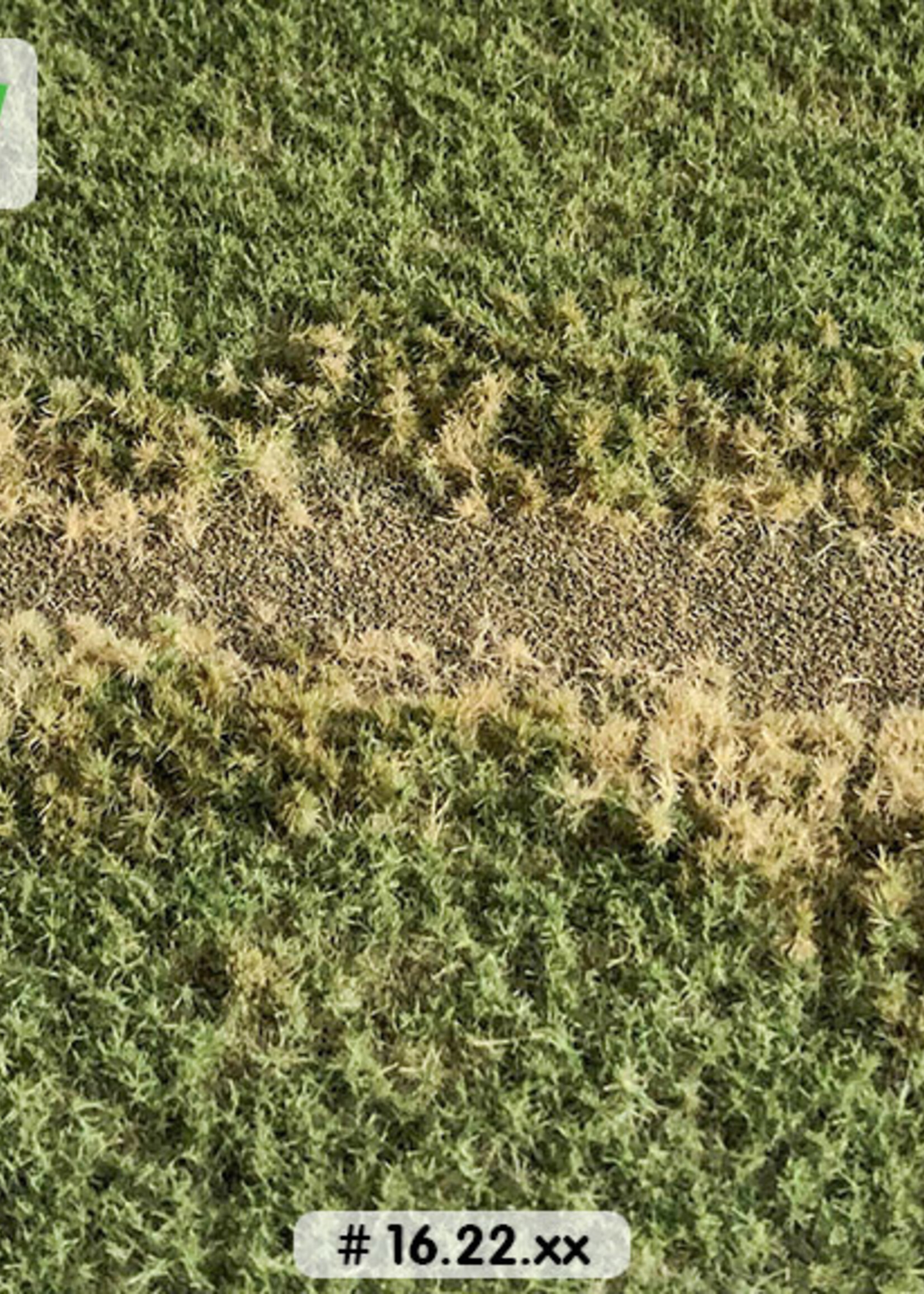 Lars op 't Hof Scenery 16.22 L Spoordijk zomer - kort 38 x 58 cm