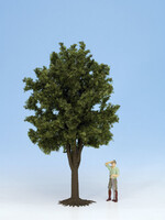 NOCH NOCH 68020 Obstbaum (G)