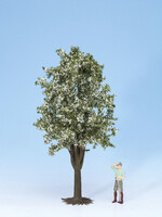 NOCH NOCH 68022 Obstbaum (G)